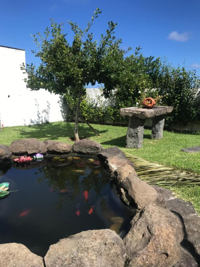 Charming Green Country House Nordestinho Bagian luar foto